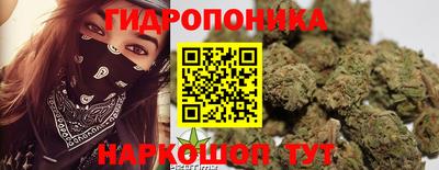 СК Заводоуковск