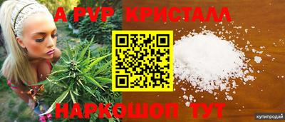 СК Заводоуковск