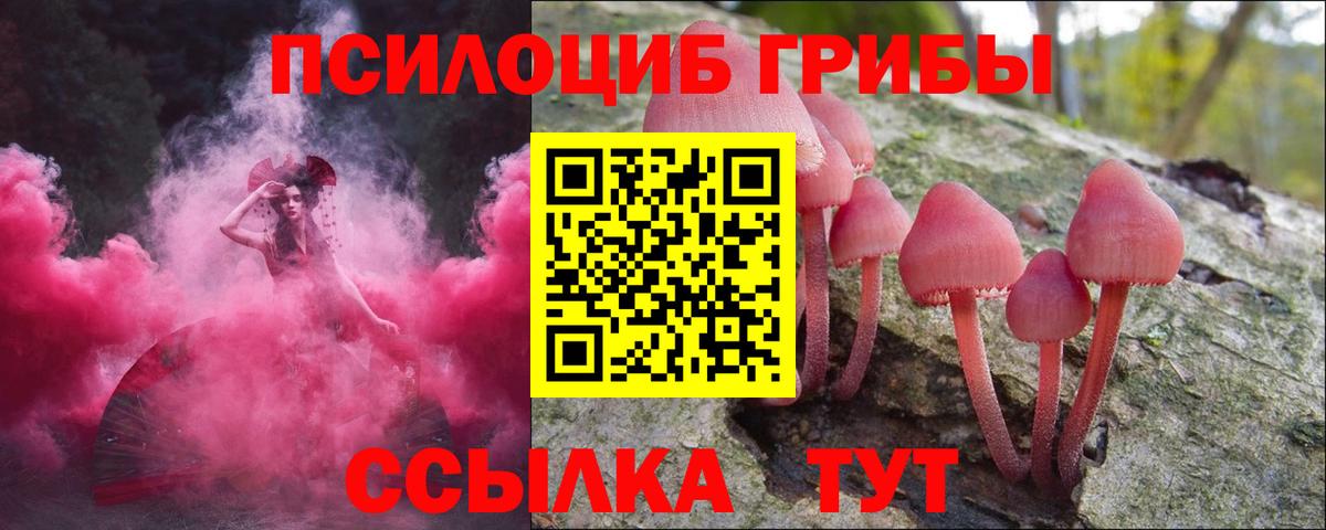 купить  сайты  Вход с VPN  Луховицы  Псилоцибиновые грибы мицелий  Псилоцибиновые грибы мицелий 