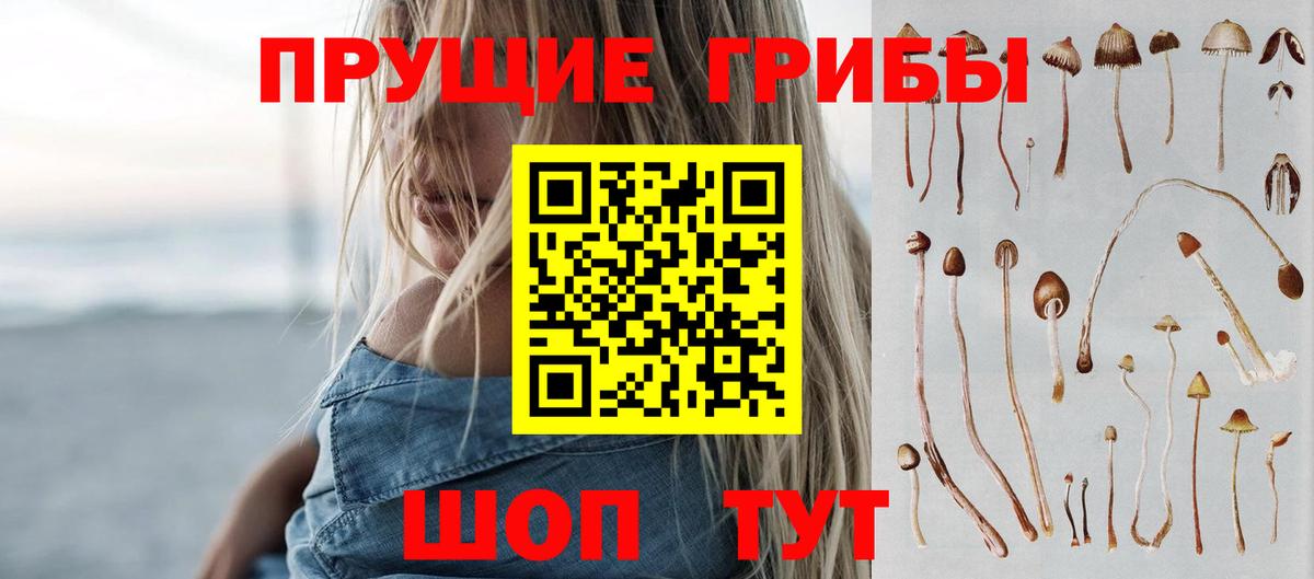 Галлюциногенные грибы прущие грибы Луховицы